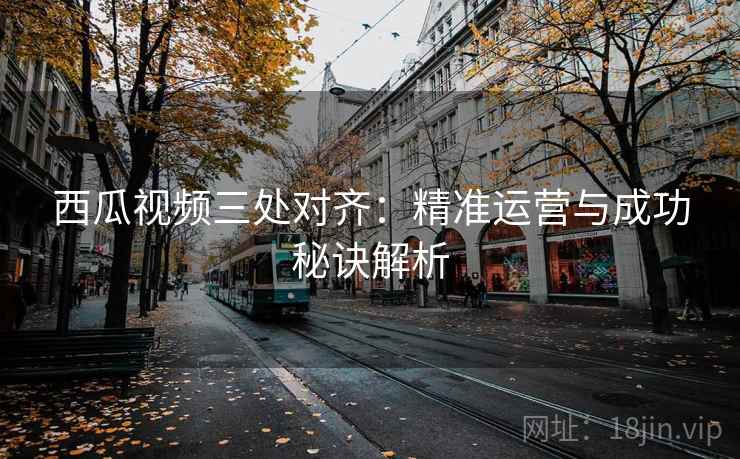 西瓜视频三处对齐：精准运营与成功秘诀解析