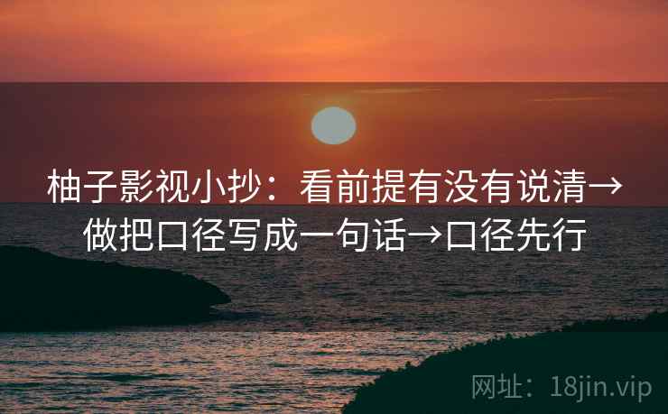 柚子影视小抄:看前提有没有说清→做把口径写成一句话→口径先行 柚子影视小抄:看前提有没有说清→做把口径写成一句话→口径先行