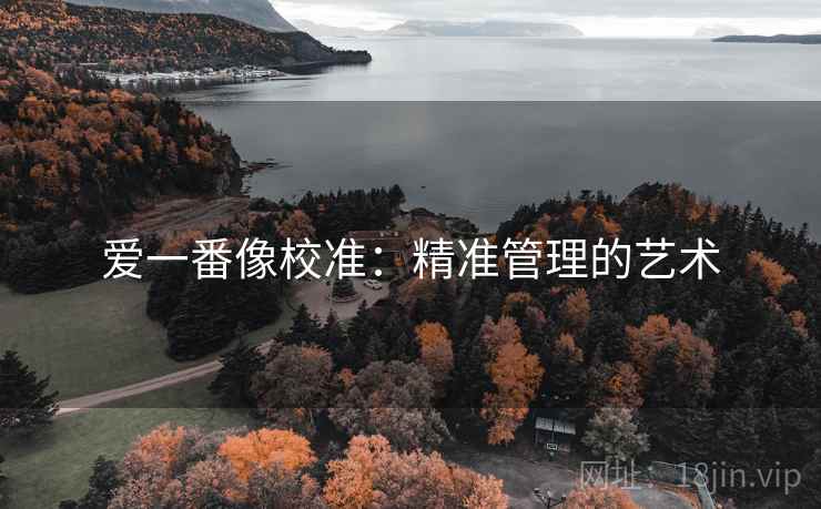 爱一番像校准：精准管理的艺术